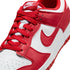 NIKE Dunk Low Next Nature Womens Sneakers